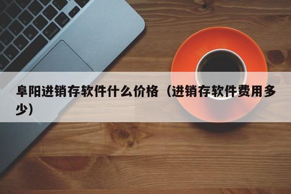 私营企业家也能玩转ERP系统：轻松管理生意