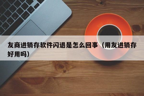 广东瑞泽鞋业ERP软件——高效管理生产流程，实现精益生产