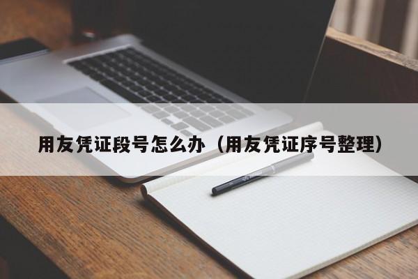 How to Implement Fujian Enterprise ERP Software Successfully in Your Business