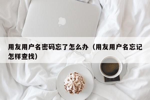 针对中小型企业的深度垂直ERP软件推荐