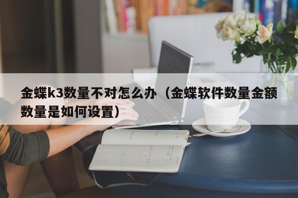 ERP实施方案范本的关键问题解析