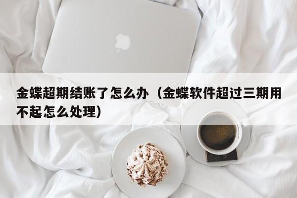 湖北企业ERP单价如何影响企业财务指标？