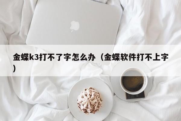 如何选择最优秀的浙江服饰服装erp系统？