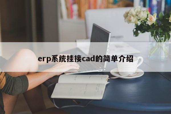 erp系统挂接cad的简单介绍