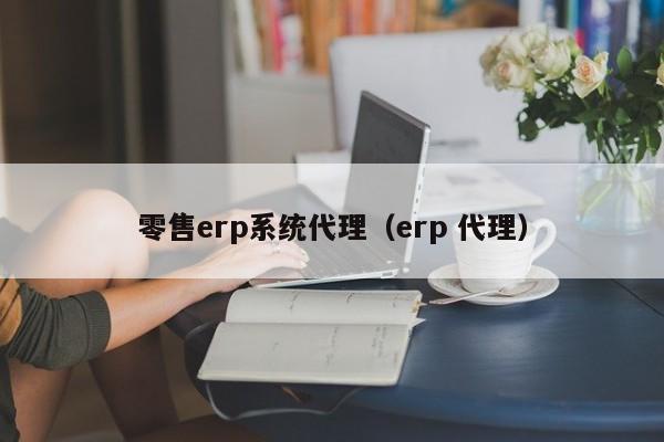 零售erp系统代理（erp 代理）