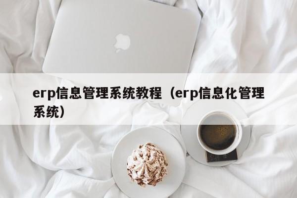 erp信息管理系统教程（erp信息化管理系统）