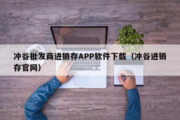 冲谷批发商进销存APP软件下载（冲谷进销存官网）