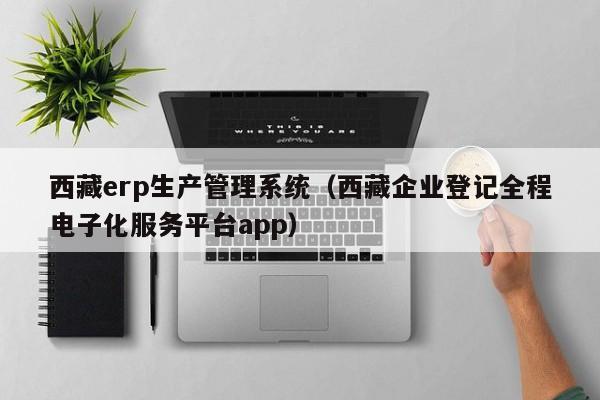 西藏erp生产管理系统（西藏企业登记全程电子化服务平台app）