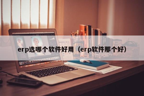 erp选哪个软件好用（erp软件那个好）