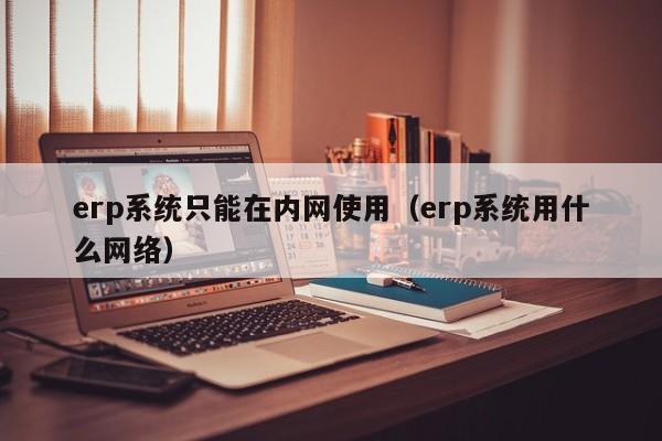 erp系统只能在内网使用（erp系统用什么网络）