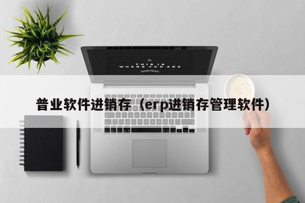 普业软件进销存（erp进销存管理软件）