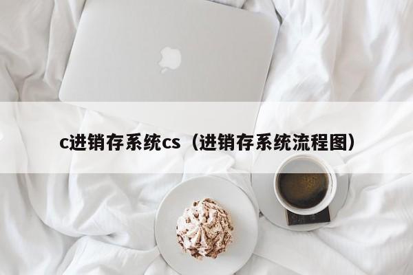 c进销存系统cs（进销存系统流程图）